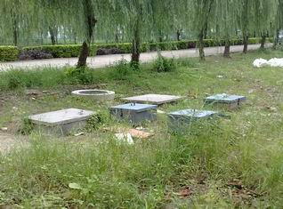 珠江流域水生動物疫病研究重點(diǎn)實(shí)驗(yàn)室污水處理工程